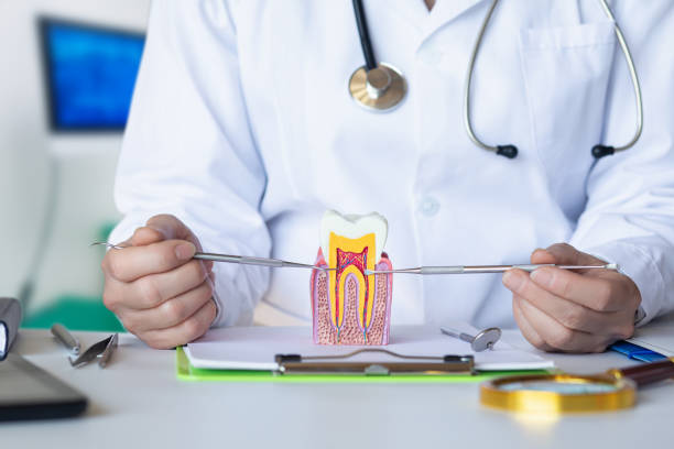 Best Cosmetic Emergency Dentistry in St John, MO